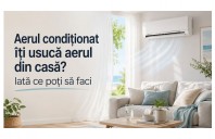Aerul condiționat &icirc;ți usucă aerul din casă? Iată ce poți să faci