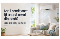 Aerul condiționat &icirc;ți usucă aerul din casă? Iată ce poți să faci