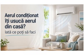 Aerul condiționat &icirc;ți usucă aerul din casă? Iată ce poți să faci