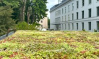 Ateliere demonstrative de acoperișuri verzi la Zilele Horticulturii Bucureștene 2025 Primul atelier a avut loc în