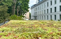 Ateliere demonstrative de acoperișuri verzi la Zilele Horticulturii Bucureștene 2025