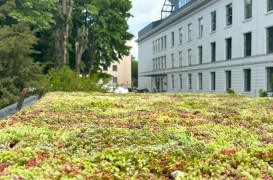 Ateliere demonstrative de acoperișuri verzi la Zilele Horticulturii Bucureștene 2025