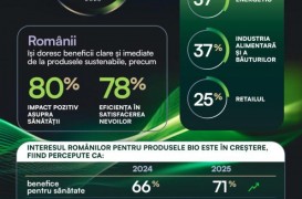 Noile valori ale societății