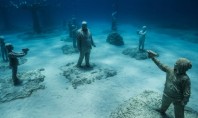 O spectaculoasă “pădure” scufundată în care copiii se joacă de-a v-aţi ascunselea (Video) Muzeul Sculpturii Subacvatice
