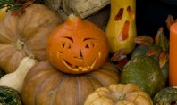 Halloween: sculptarea bostanilor si a tartacutelor