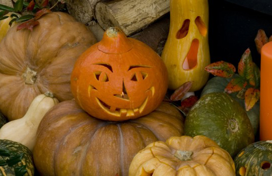 Halloween: sculptarea bostanilor si a tartacutelor