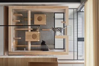 O casă modernă proiectată special pentru o familie de feline, instalată în living