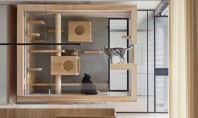 O casă modernă proiectată special pentru o familie de feline instalată în living Cutia din sticla