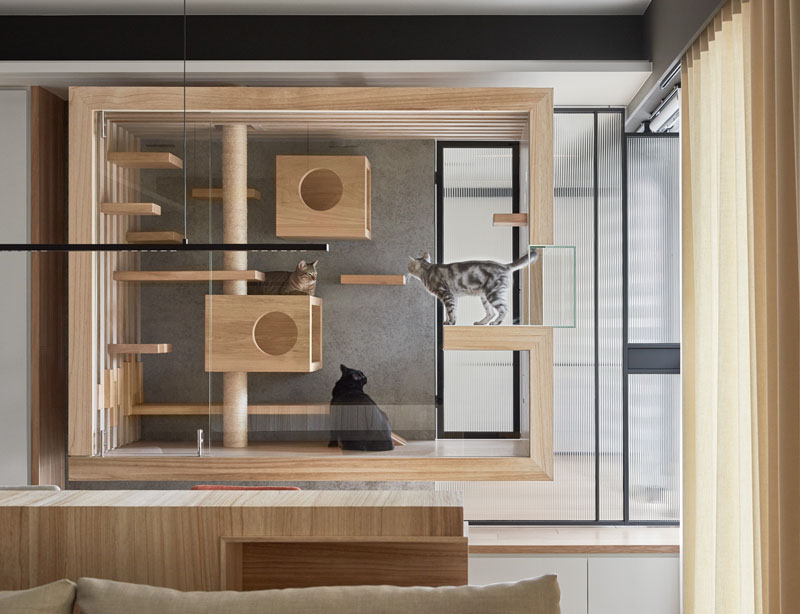 O casă modernă proiectată special pentru o familie de feline, instalată în living