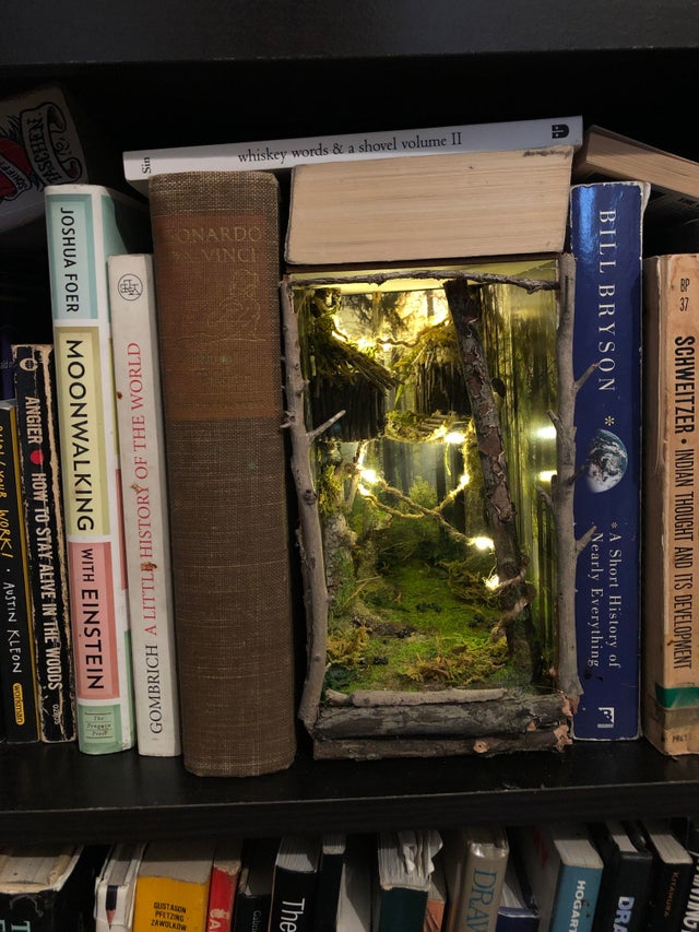 Magicele lumi în miniatură ascunse printre cărțile din bibliotecă