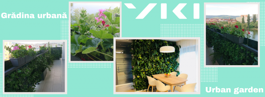 VIKI – casa inteligentă care învață obiceiurile și îngrijește și grădina când ești plecat în vacanță