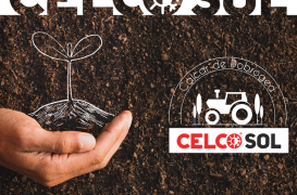 Combaterea carenței de calciu în agricultură și legumicultură cu varul agricol CelcoSOL95