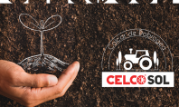Combaterea carenței de calciu în agricultură și legumicultură cu varul agricol CelcoSOL95 În perioada de vară