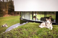  O casa cu perspective la 360° le permite proprietarilor sa-si poata urmari cainii. Moft sau utilitate?