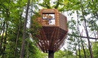 O casă în copac din Franța, care are un interior surprinzător