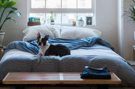 Ce poate fi mai banal ca un dormitor și de ce ne preocupă atât de mult?