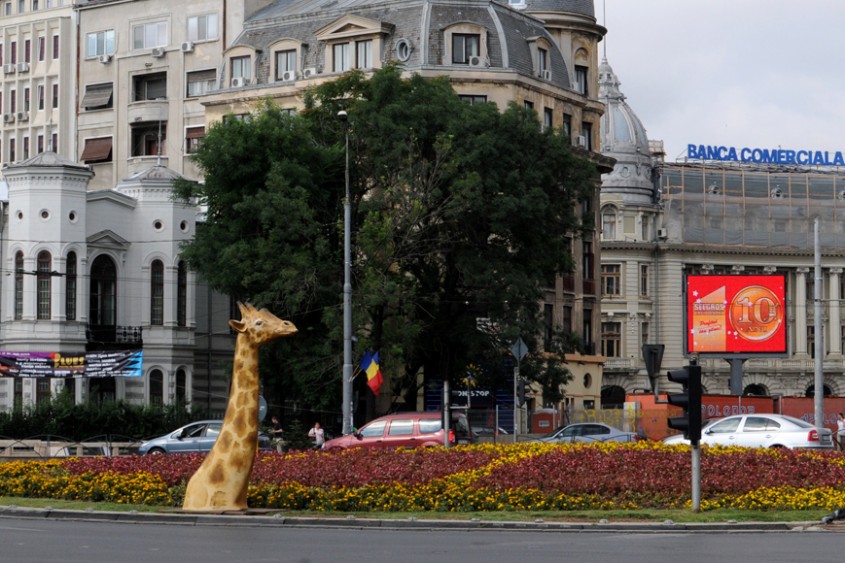 Muzeul Antipa invadeaza mediul urban