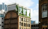 Deasupra unui depozit londonez a rasarit un apartament plin de vegetatie