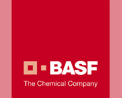 BASF Romania - Compania sustenabila a anului 2012