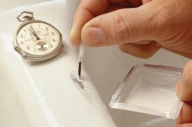 Cum remediem smaltul ciobit al cazilor sau chiuvetelor