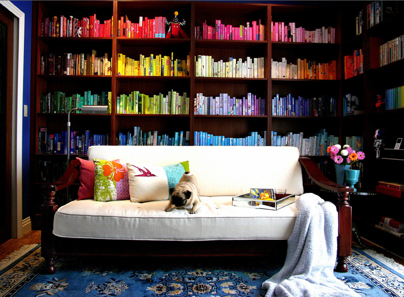 O biblioteca in culori
