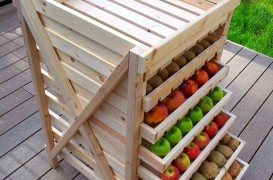 Spatiile de depozitare pentru legume si fructe. Conditii de pastrare peste iarna