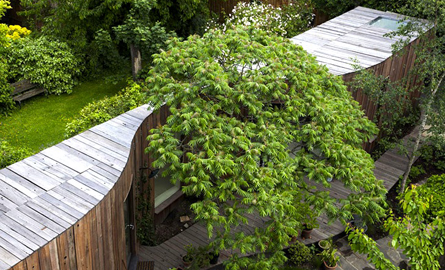 Tree House, extindere pentru o locuinta din Londra