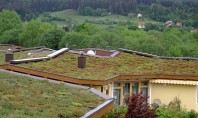 Vine primavara sa inverzeasca acoperisurile Acoperisurile verzi reprezinta noul vis al arhitectilor urbani In aglomeratiile urbane