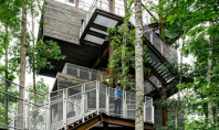 Casa din copac loc de studiu pentru cercetasi Biroul de arhitectura Mithum din Seattle a proiectat