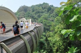 Parcul supendat Telok Blangah din Singapore