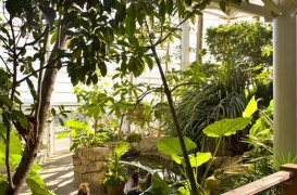 O padure tropicala in incinta Serei Phipps si a Gradinii Botanice din Pittsburgh
