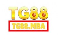 tg88mba