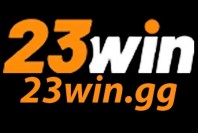 23wingg