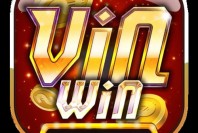 vinwinnpro
