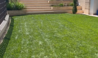 Studio Garden - Amenajare gradina