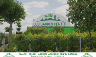Spot prezentare Eco Garden Center