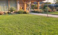Studio Garden - Amenajare gradina