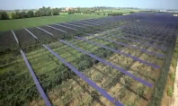 Primul parc fotovoltaic amplasat pe o cultura de kiwi - Italia RUFY ROOF ENGINEERING